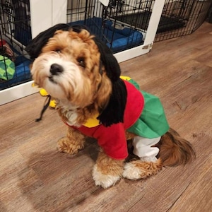 La Chilindrina Dog Costume/ Mexican dog costume/ La Chilindrina/ Mexican Television dog costume