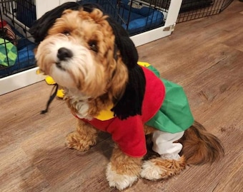 La Chilindrina Dog Costume/ Mexican dog costume/ La Chilindrina/ Mexican Television dog costume