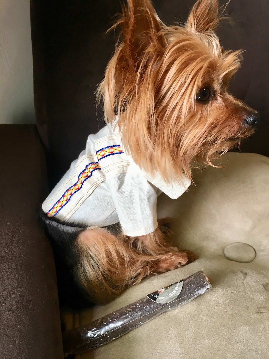 Mexican Dog Shirts/ Mexican Guayabera for Dog / Summer Dog Shirt