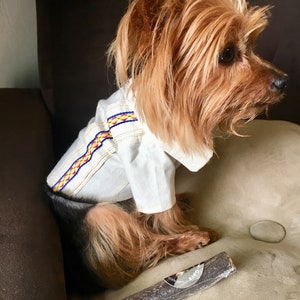 Mexican Guayaberas for dogs/ Mexican Dog Guayaberas/ Guayaberas for dogs