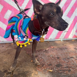 Mexicanita dog girl dress/ Colorful dog dress/ Spring/Summer dog dresses/ Rainbow dog dress