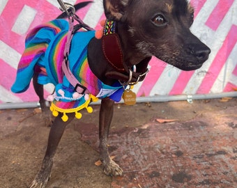 Vestido Mexicano para perrita/ cinco de mayo para perrita/ Vestidito Mexicano para perritas/ Folkloric dog dress