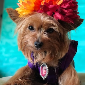 Mexican Dog Dress/ Frida dog Costume/ Frida Kahlo dog dress / Frida Kahlo Set / Frida Dog costume image 6