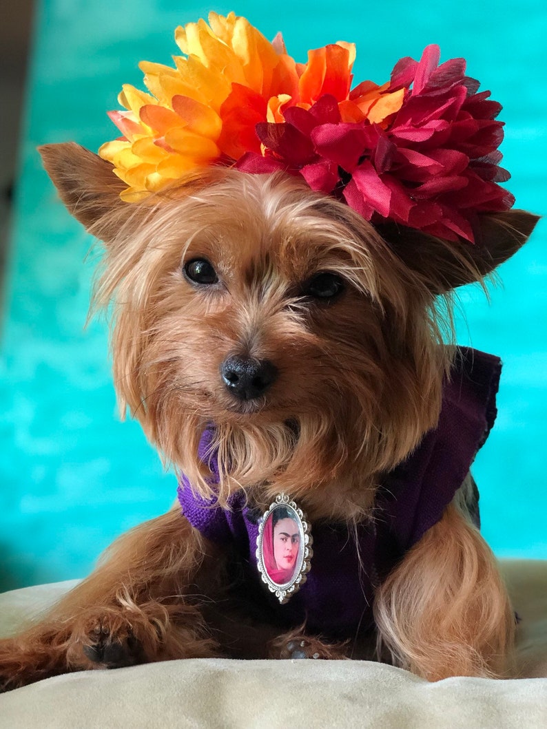 Mexican Dog Dress/ Frida dog Costume/ Frida Kahlo dog dress / Frida Kahlo Set / Frida Dog costume image 6