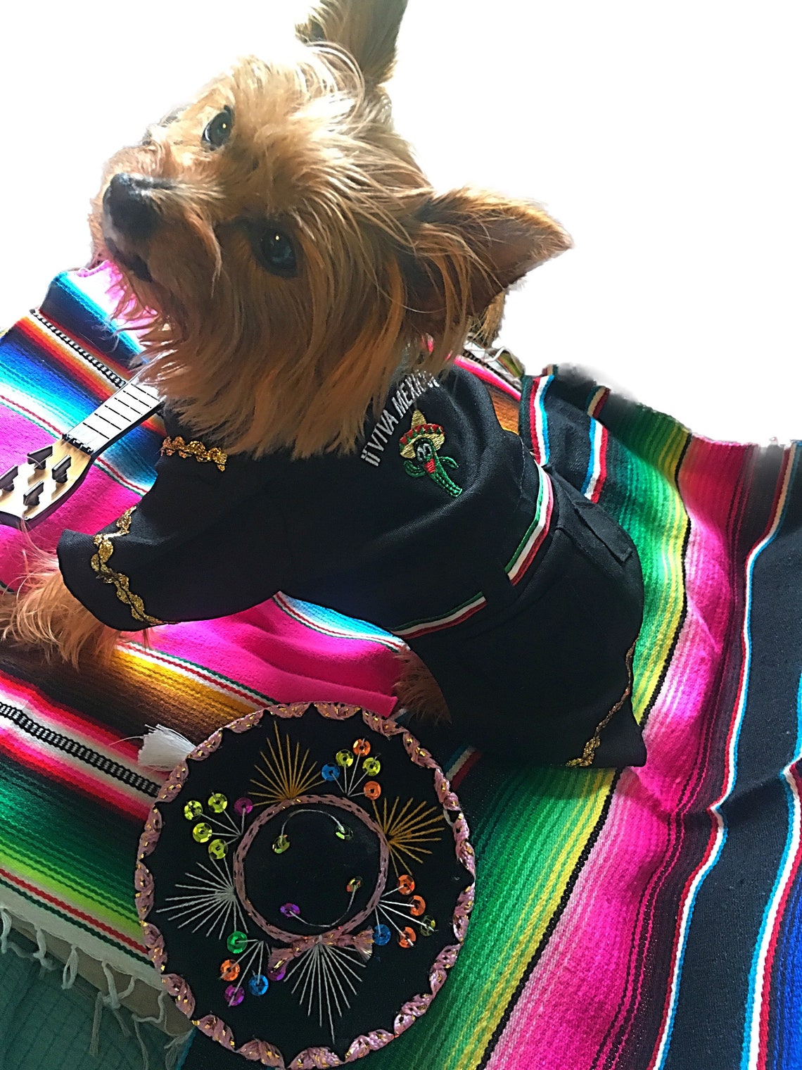 Mariachi Dog Costume/ Mariachi Outfit for dogs/ Mexican dog Etsy