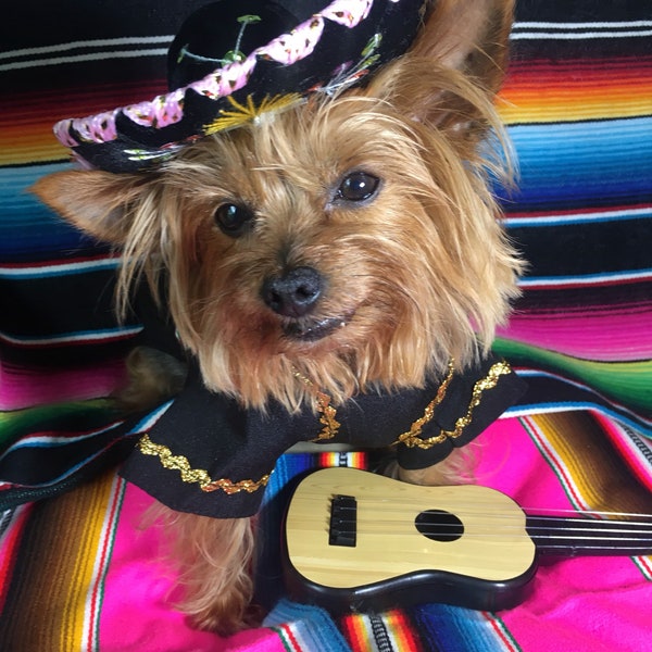 Mariachi Dog Costume/ Mariachi Outfit for dogs/ Mexican dog costume/ Mariachi dog/ Mexican outfit/ Cinco de Mayo dog costume