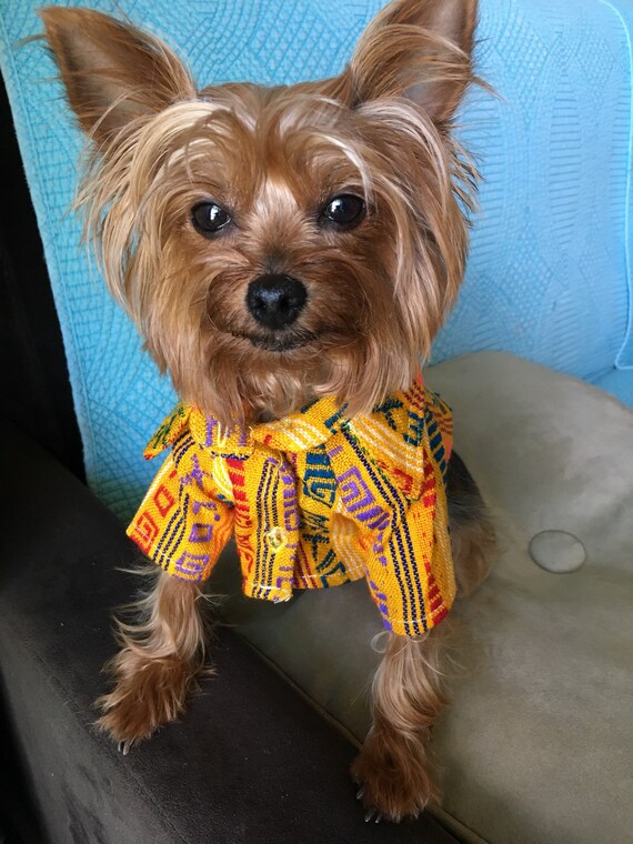 mexican dog clothes
