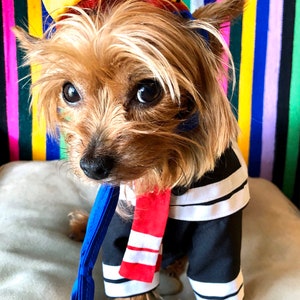 Quico dog costume/ Mexican outfit for dog/ Mexican dog costume / Quico, El chavo del ocho friend dog costume