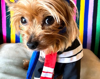 Quico dog costume/ Mexican outfit for dog/ Mexican dog costume / Quico, El chavo del ocho friend dog costume