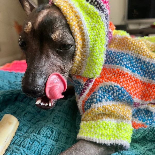 Hond hoodie/Mexicaanse hond hoodie/hond jas/Mexicaanse hoodie Jerga/jas hippie voor hond/Pullover/Mexicaanse hoodies