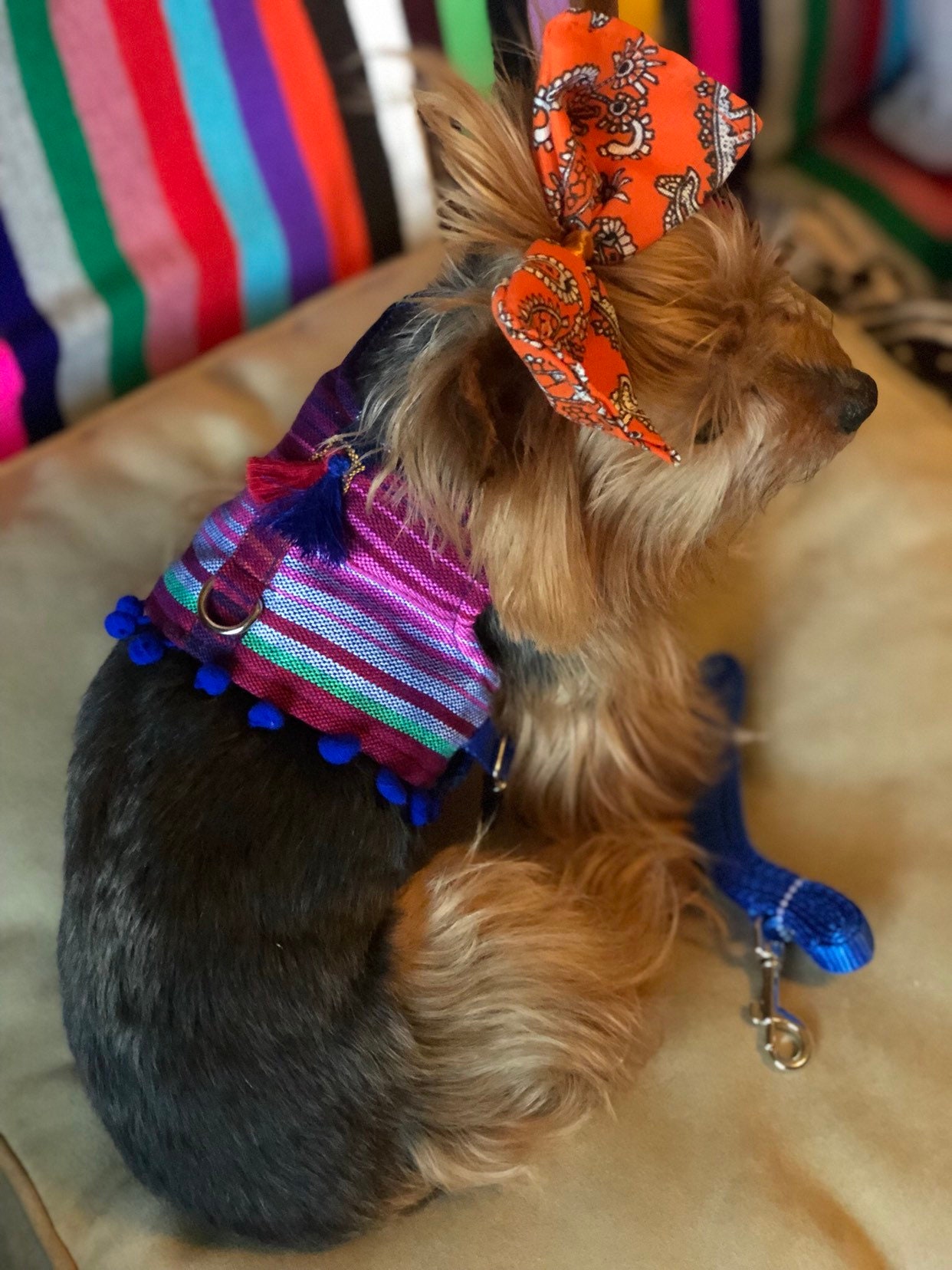 Mexican Dog Harness/ Stripped dog Harness/ Mexican Zarape Dog Harness