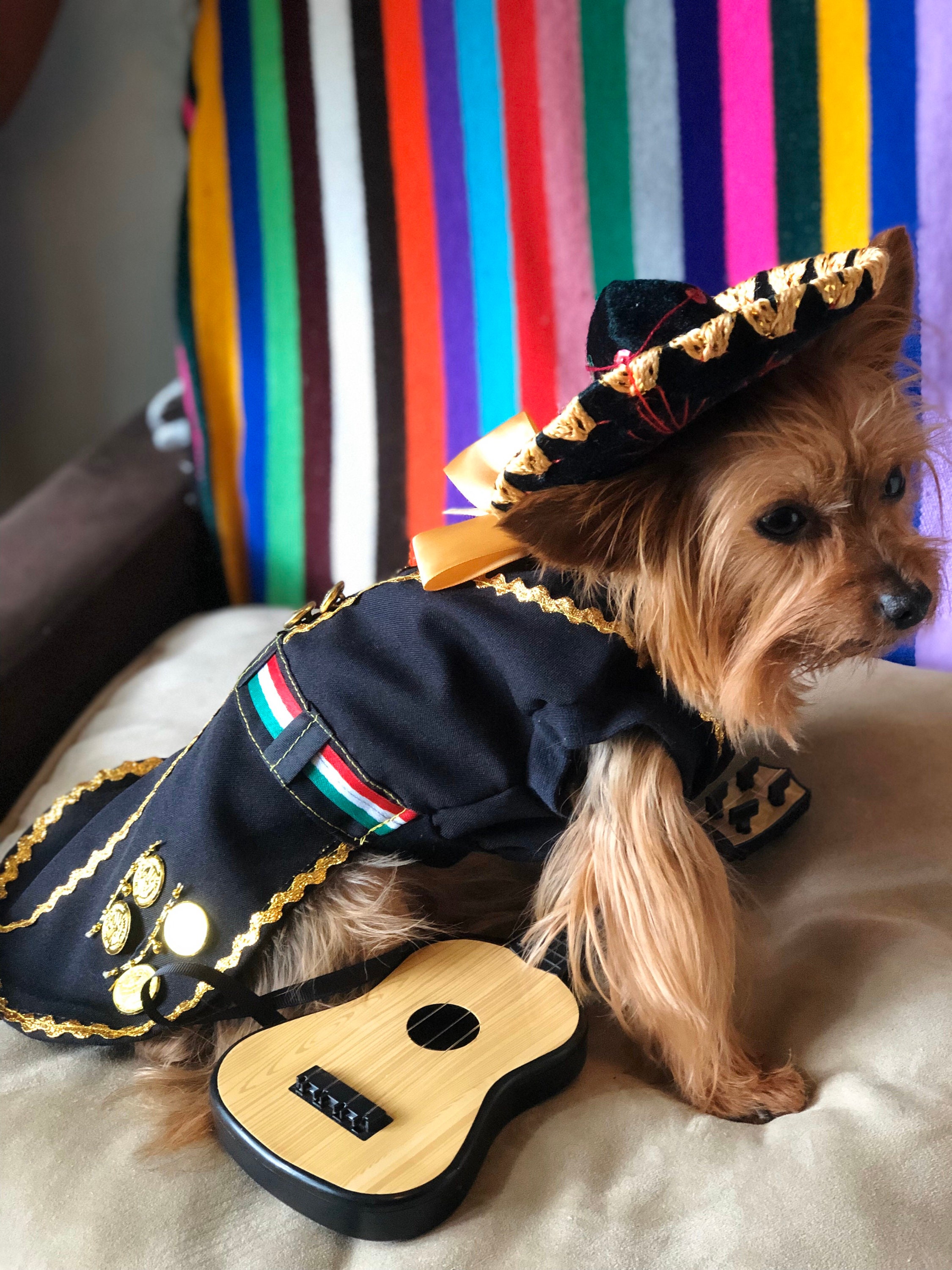 Mariachi Dog Costume/ Mariachi Outfit for Dogs/ Mexican Dog | Etsy