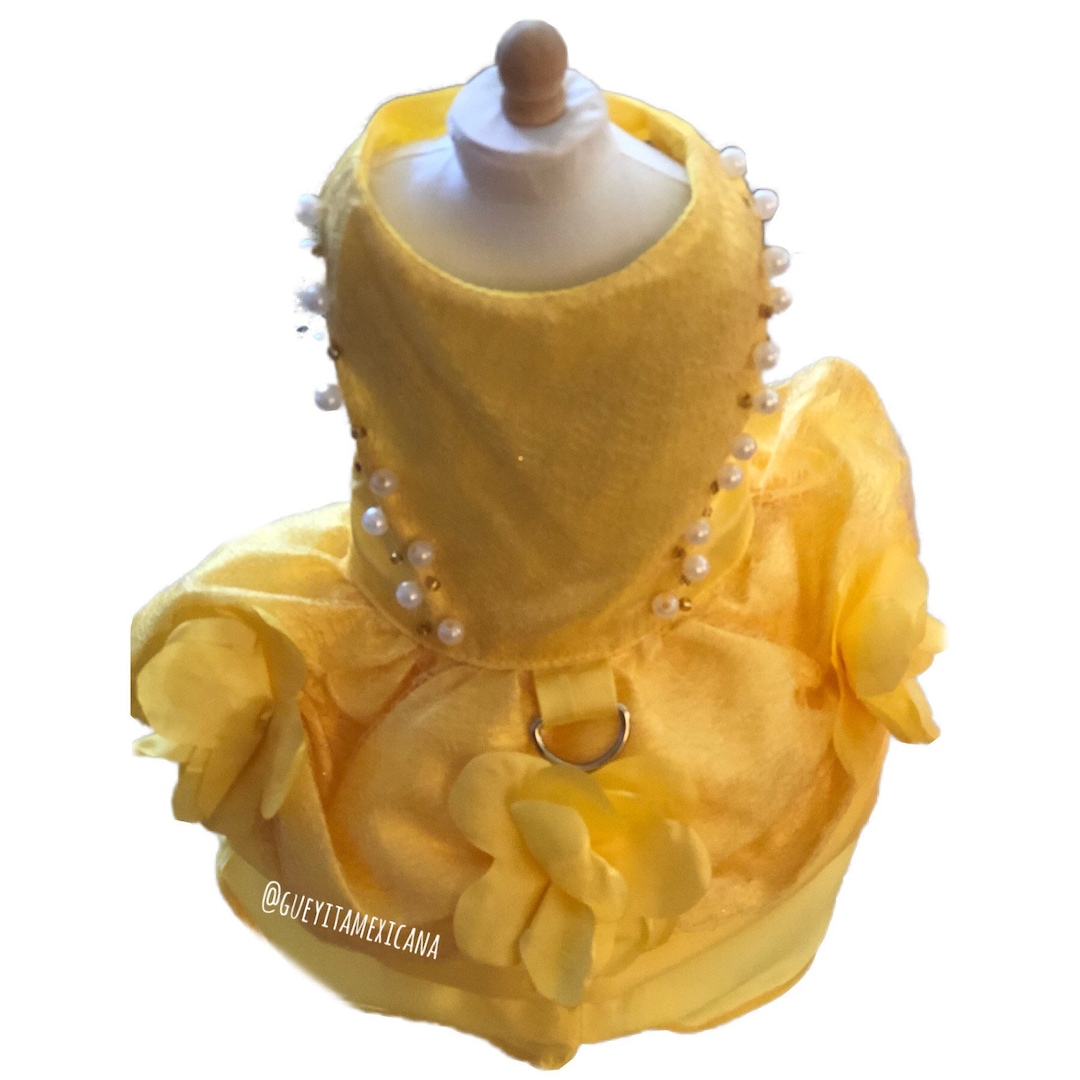 Quinceañera Dog Dress/ Yellow Dog Dress/ Sweet Sixteen Dog Dress/ Party