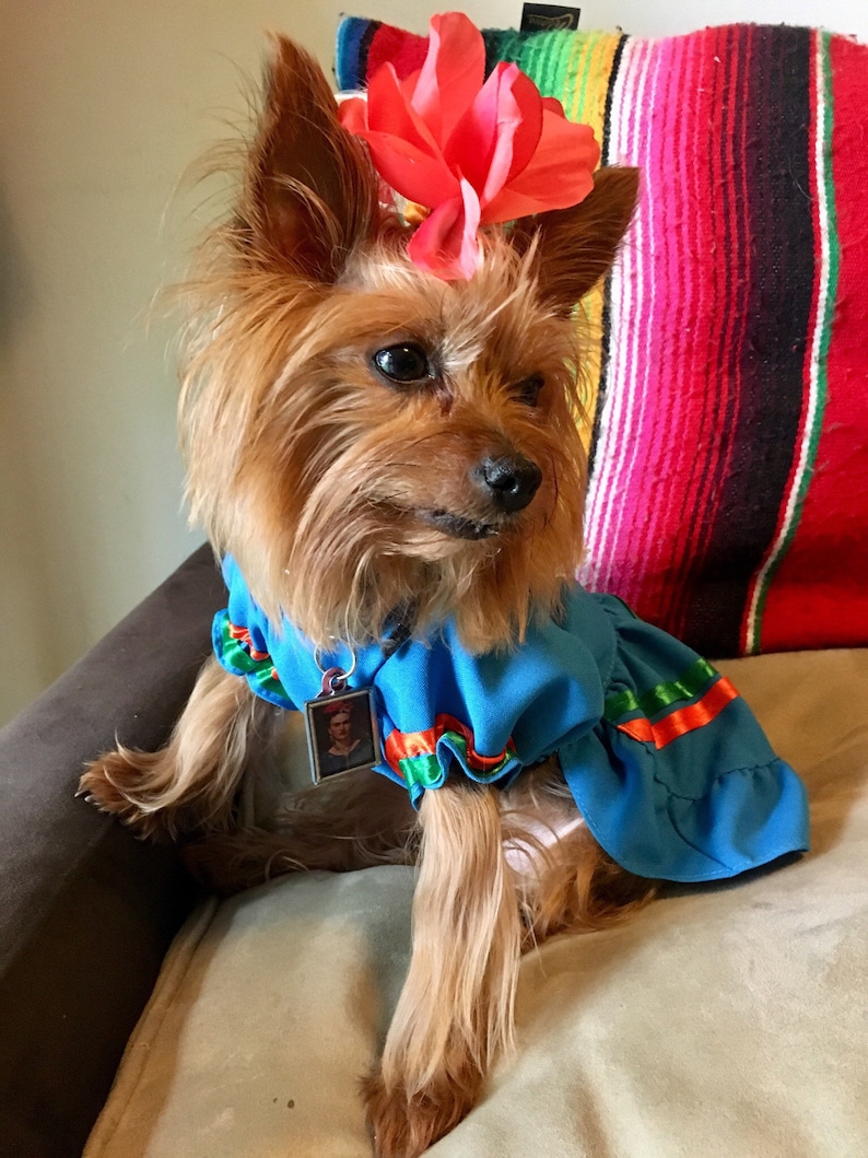 Mexicanita Dog Girl Costume/ Mexican Dog Girl Dress/ Mexican Etsy