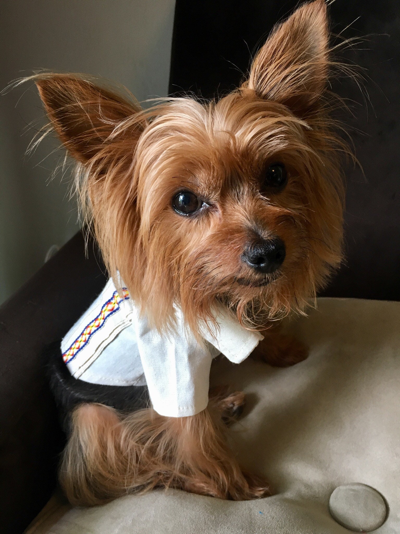 Mexican Guayaberas for dogs/ Mexican Dog Guayaberas/ Guayaberas for dogs