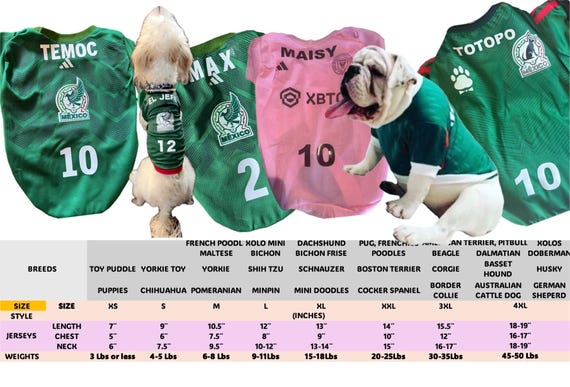 America soccer t-shirts for dogs/ Mexican Soccer dog shirts