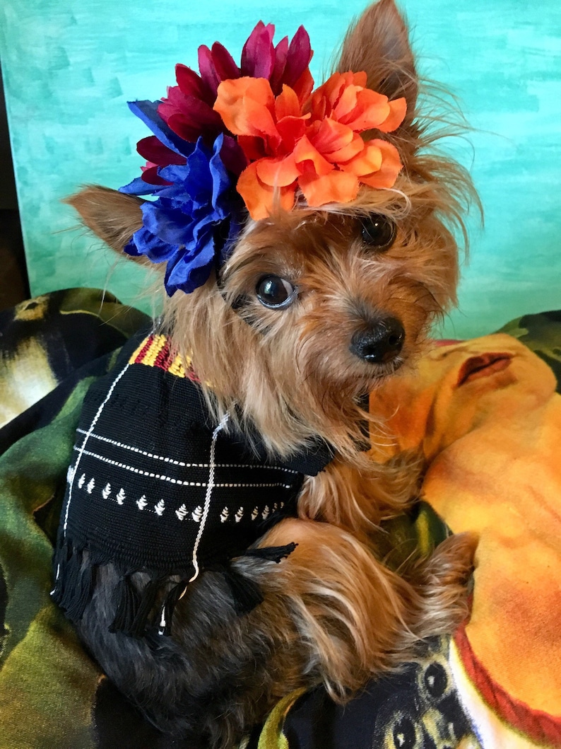 Mexican Dog Dress/ Frida dog Costume/ Frida Kahlo dog dress / Frida Kahlo Set / Frida Dog costume image 3