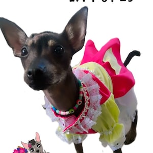 Chilindrina Dress - Etsy