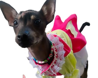 La Chilindrina Dog Costume/ Mexican dog costume/ La Chilindrina/ Mexican Television dog costume