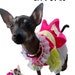 see more listings in the Dog Costumes section