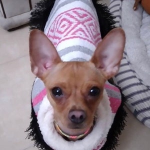 Honden zarape/ Mexicaanse hondencape/ Mexicaanse hondentrui/ Mexicaanse hondenjas met fleecevoering/ Hondenjas