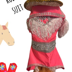Tenue de rodéo pour chien / Costume de rodéo pour chien / Ensemble de rodéo rose pour chien