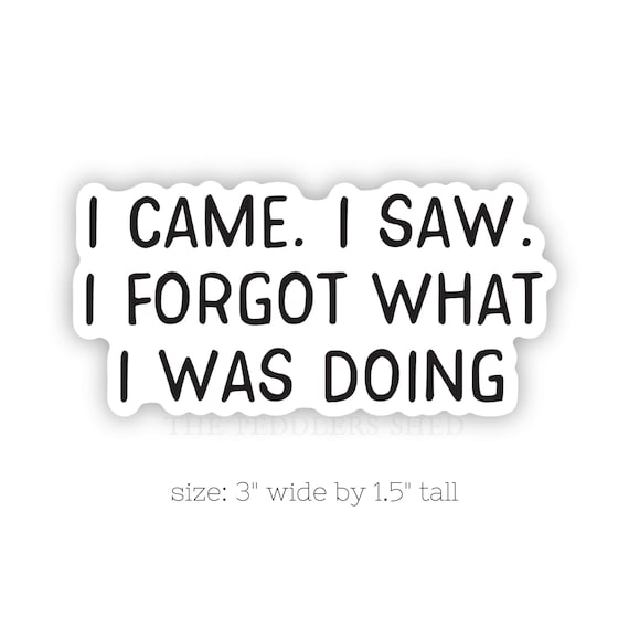 I CAME I SAW I FORGOT what I was doing vinyl sticker | water bottle sticker, laptop sticker, thermos sticker, funny sticker, sarcastic decal