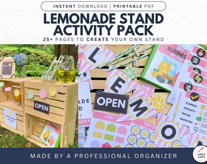 DIY Lemonade Stand Kit