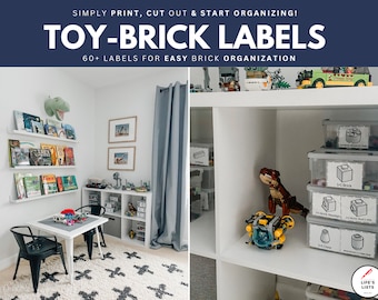 Building Bricks Organization System