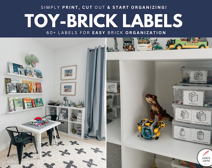 Building Bricks Organization System