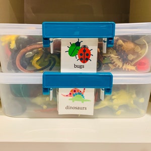 Playroom Labeling System by Life's Lists.  Printable labels to organize toy rooms with pictures organized by toy category.
