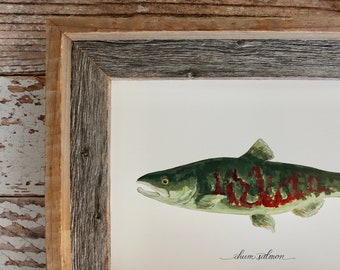 Chum Salmon, Dog Salmon, Keta Salmon, Fishing, Fish Art, Fish Painting, 8x10, 11x14, art print