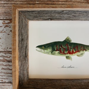 Chum Lachs, Hund Lachs, Keta Lachs, Fischen, Fisch Kunst, Fisch Malerei, 8x10, 11x14, Kunstdruck