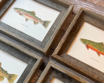 8 PRINTS, You Pick - Any Fish, fish art, 8x10 or 11x14, fly fishing, fishing art