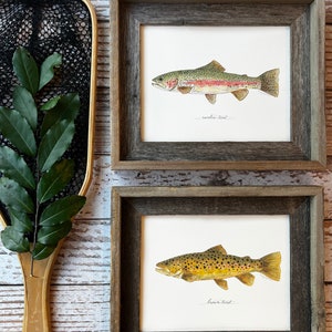 2 PRINTS, Rainbow Trout and Brown Trout, 2 fish prints, 8x10 or 11x14, fly fishing, Father's Day image 3