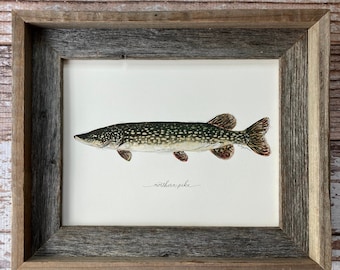 Northern Pike, Fishing, Freshwater Fish, Lake, Fisherman, Father's Day, Art Painting, Print , 8x10, 11x14