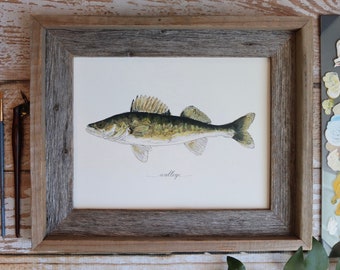 WALLEYE, Yellow Pike, Fishing, Freshwater Fish, Lake, Fisherman, Father's Day, Art Painting, Print , 8x10, 11x14