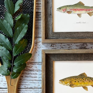 2 PRINTS, Rainbow Trout and Brown Trout, 2 fish prints, 8x10 or 11x14, fly fishing, Father's Day image 6
