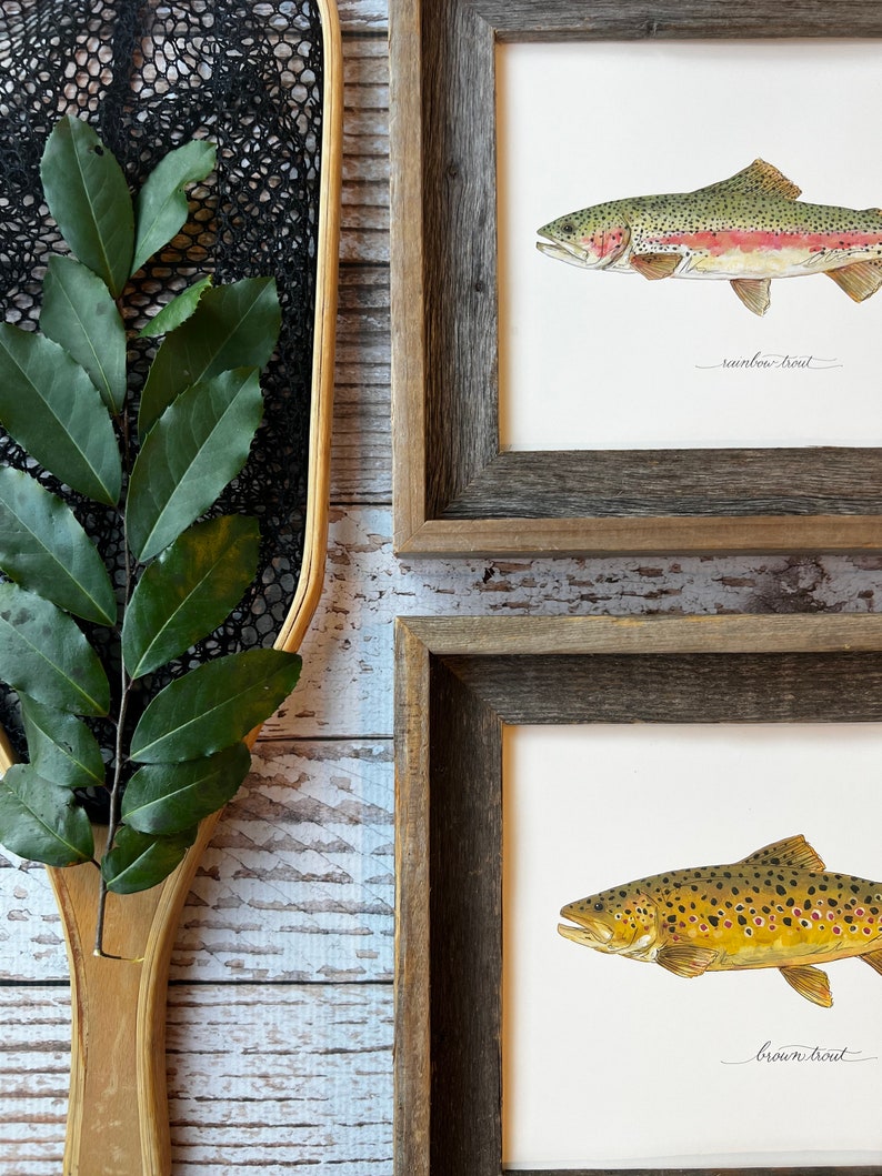 2 PRINTS, Rainbow Trout and Brown Trout, 2 fish prints, 8x10 or 11x14, fly fishing, Father's Day image 6