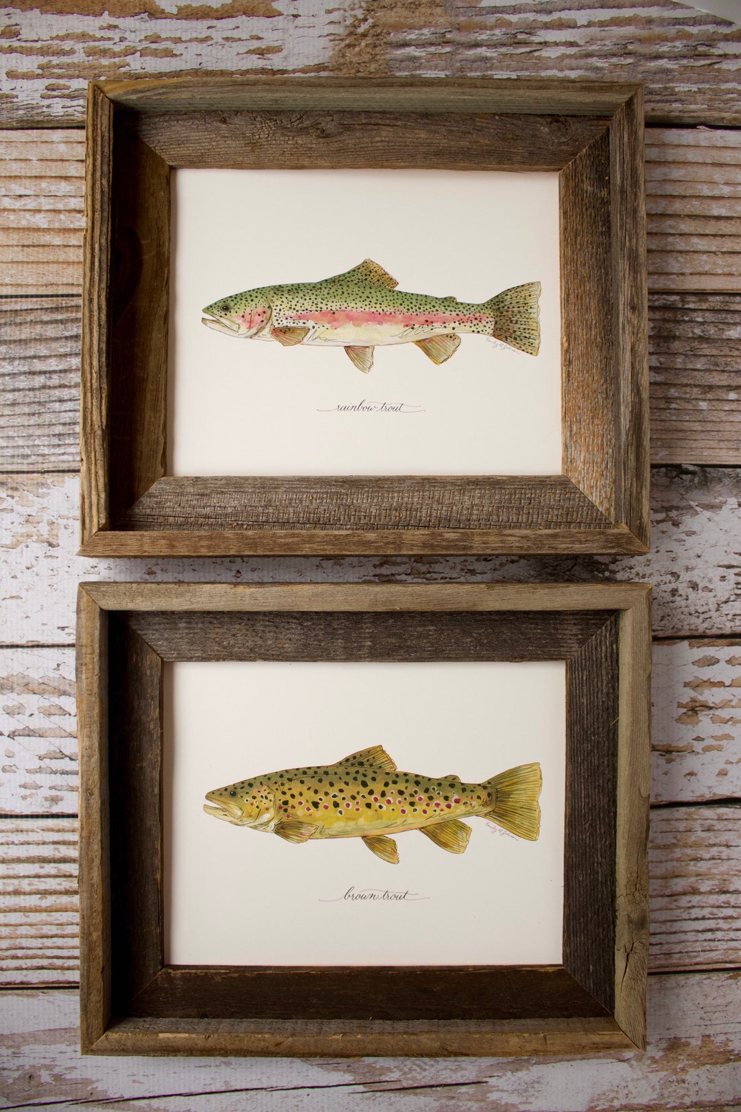 Lot de 2 tirages d'art de poisson | Truite arc-en-ciel et truite brune | Décoration murale pêche à la mouche - France