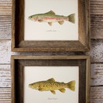 Fish Home Decor