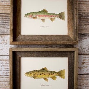 2 PRINTS, Rainbow Trout and Brown Trout, 2 fish prints, 8x10 or 11x14, fly fishing, Father's Day