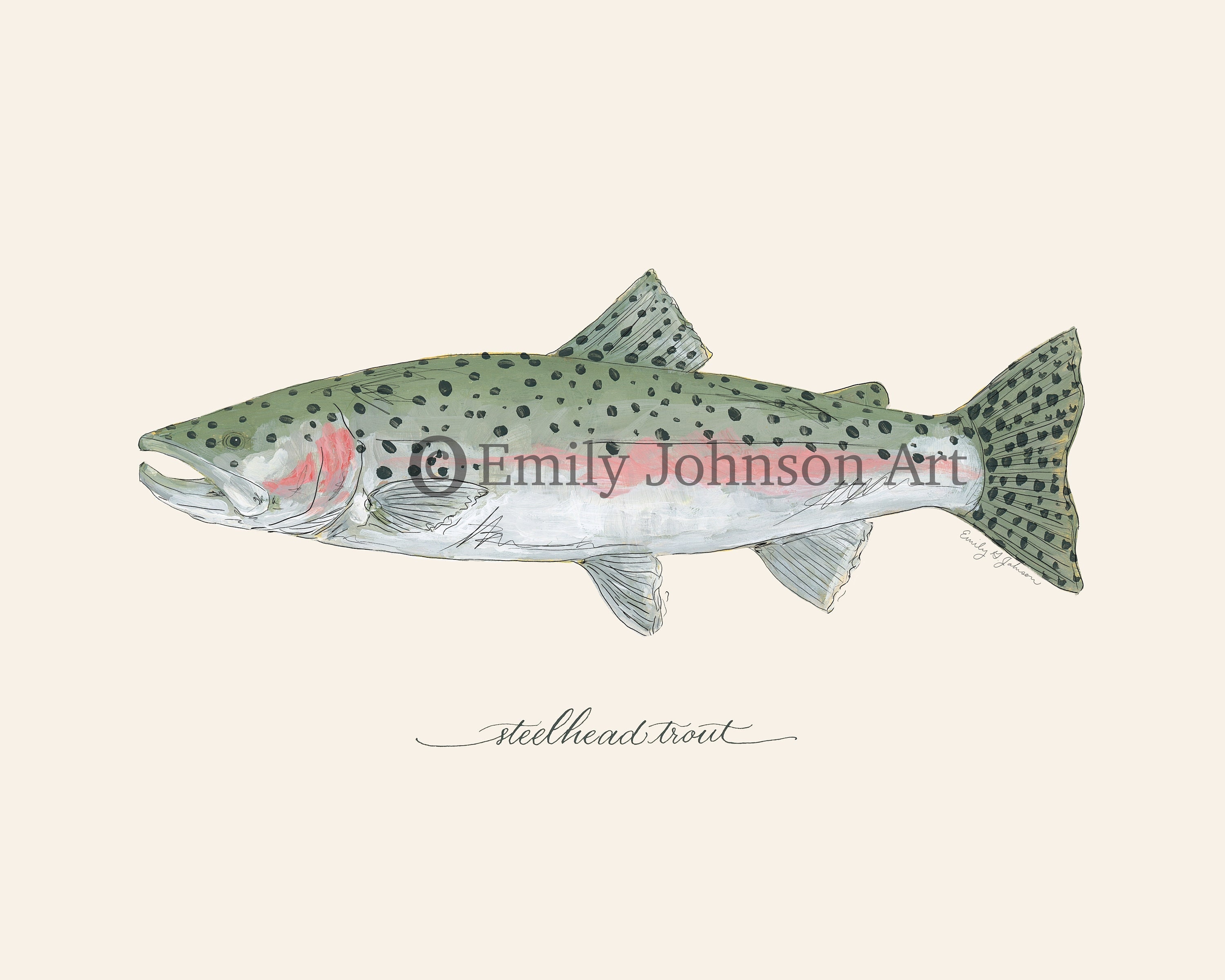 Steelhead TROUT, Fly Fishing, Freshwater Fish, Painting, Print , 8x10,  11x14 