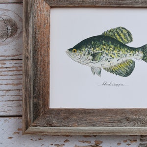 Black Crappie, Fishing, Freshwater Fish, Lake, Fisherman, Father&#39;s Day, Art Painting, Print , 8x10, 11x14