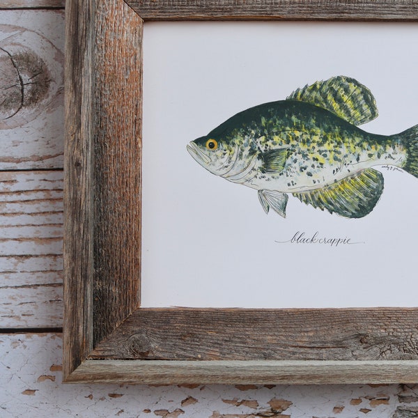 Black Crappie, Fishing, Freshwater Fish, Lake, Fisherman, Father's Day, Art Painting, Print , 8x10, 11x14