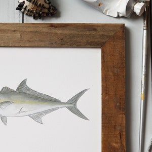 AMBERJACK, Fisch Art Painting, Salzwasserfischen, Ocean Art, 8x10, 11x14, Kunstdruck Bild 7