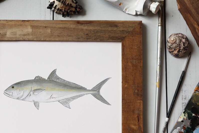 AMBERJACK, Fisch Art Painting, Salzwasserfischen, Ocean Art, 8x10, 11x14, Kunstdruck Bild 7