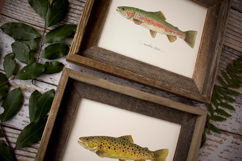 2 PRINTS, Rainbow Trout and Brown Trout, 2 fish prints, 8x10 or 11x14, fly fishing, Father's Day image 7