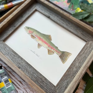 RAINBOW TROUT, Fish, Freshwater fish, fish painting, trout painting, fly fishing, 8x10, 11x14, art print image 4