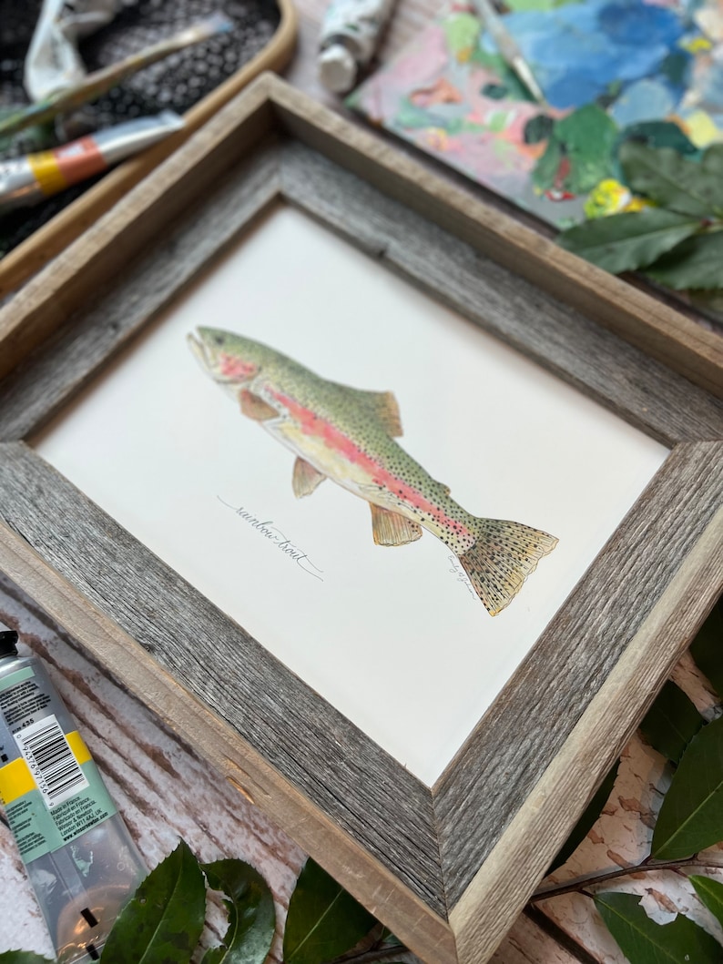 RAINBOW TROUT, Fish, Freshwater fish, fish painting, trout painting, fly fishing, 8x10, 11x14, art print image 4